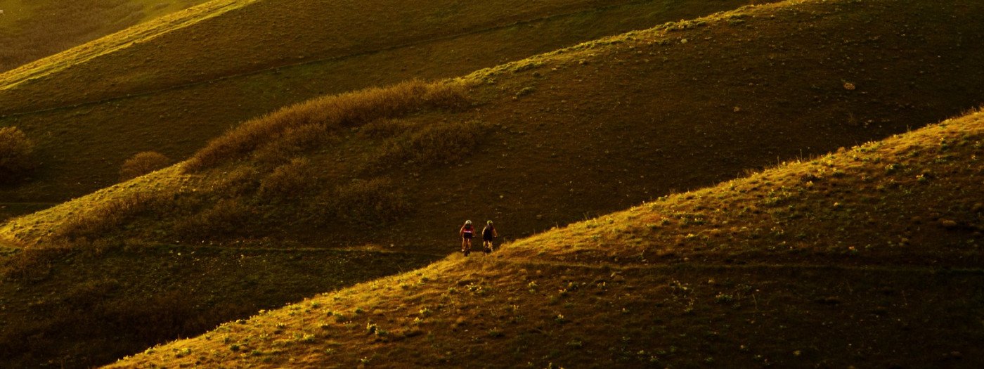  Inflammasome Therapeutics - Style Guide